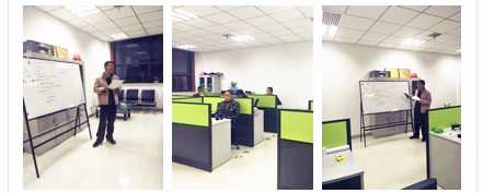 西咸公司開(kāi)展北方苗木養(yǎng)護(hù)系列培訓(xùn)