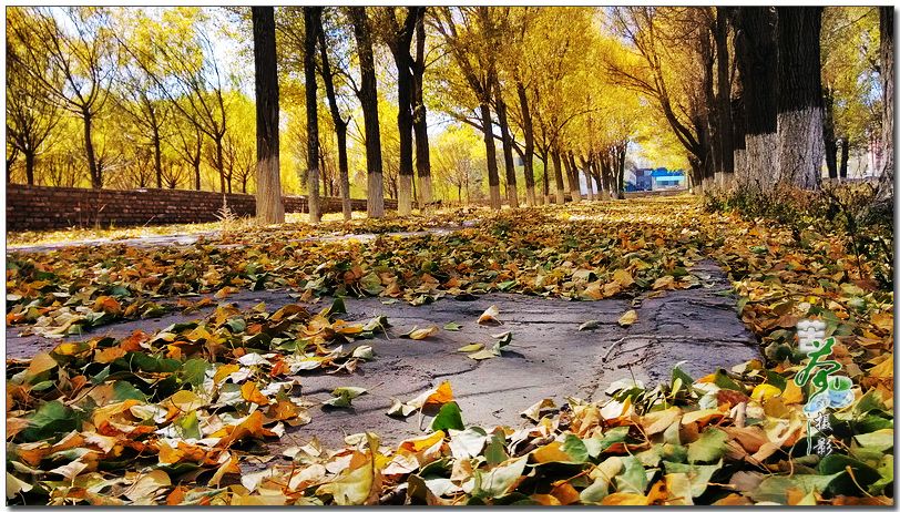 對于工作，你帶著情懷了嗎？