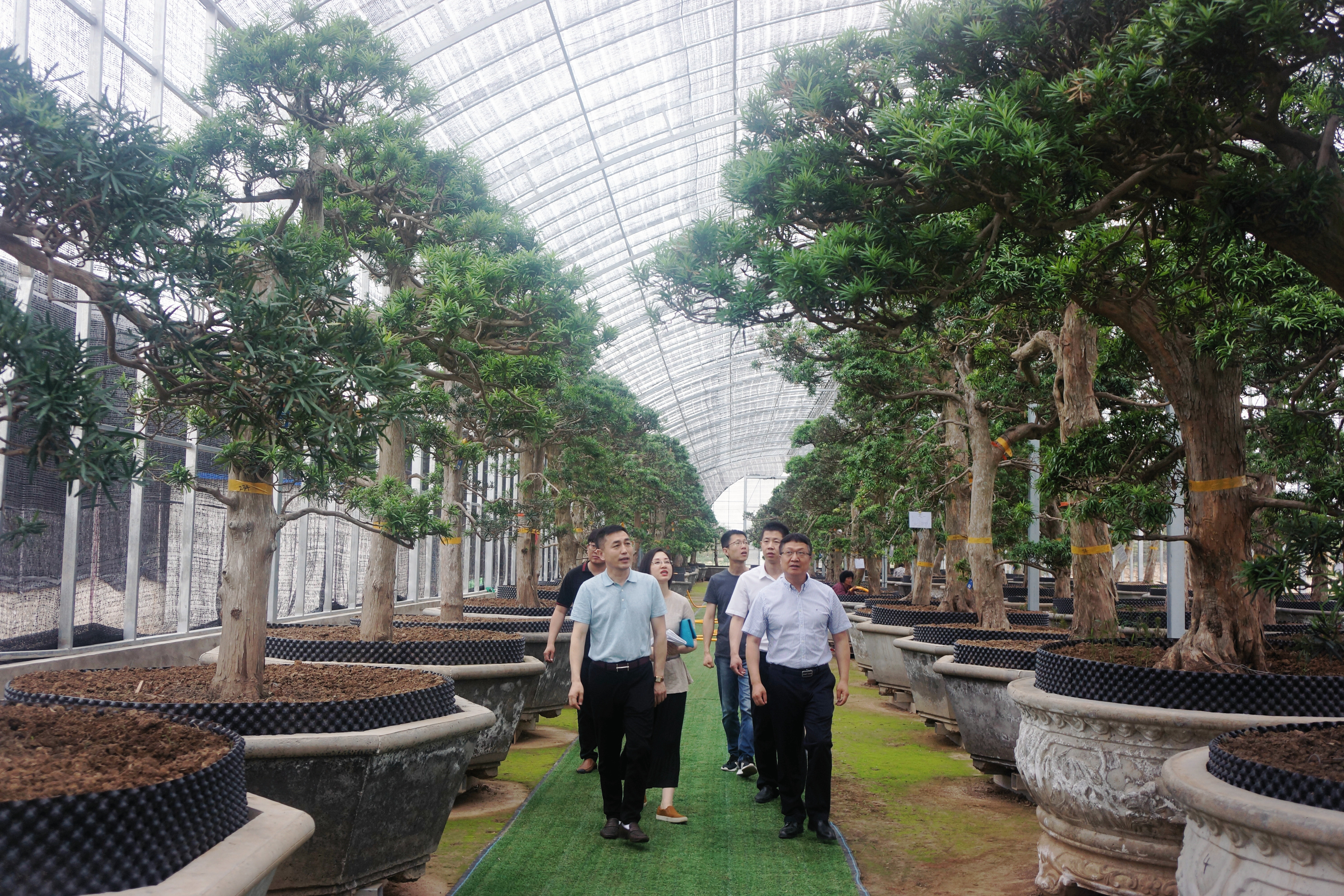 蘇亞文到基泰集團(tuán)調(diào)研