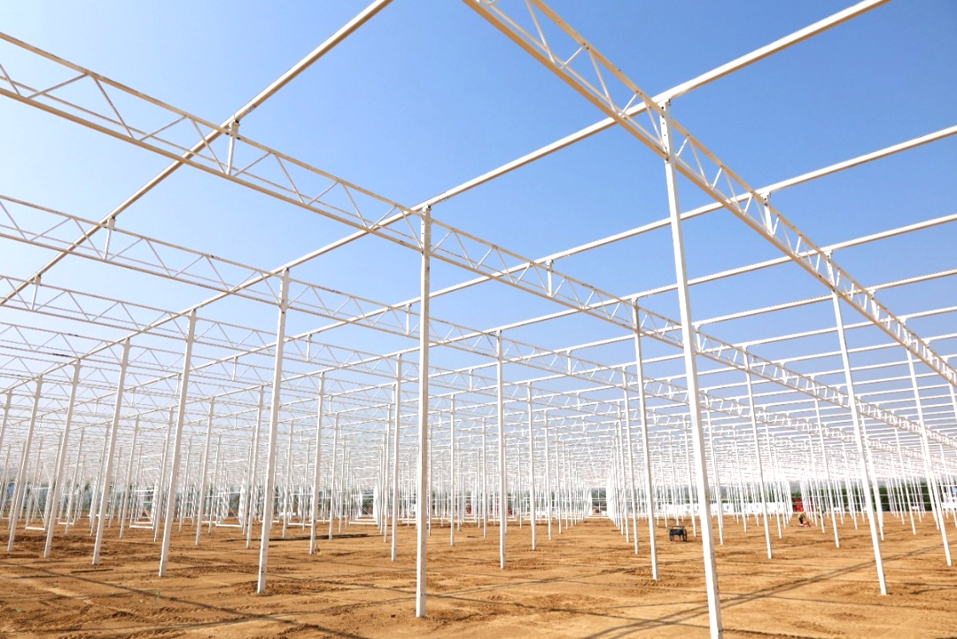 玫瑰溫室主體骨架完工！