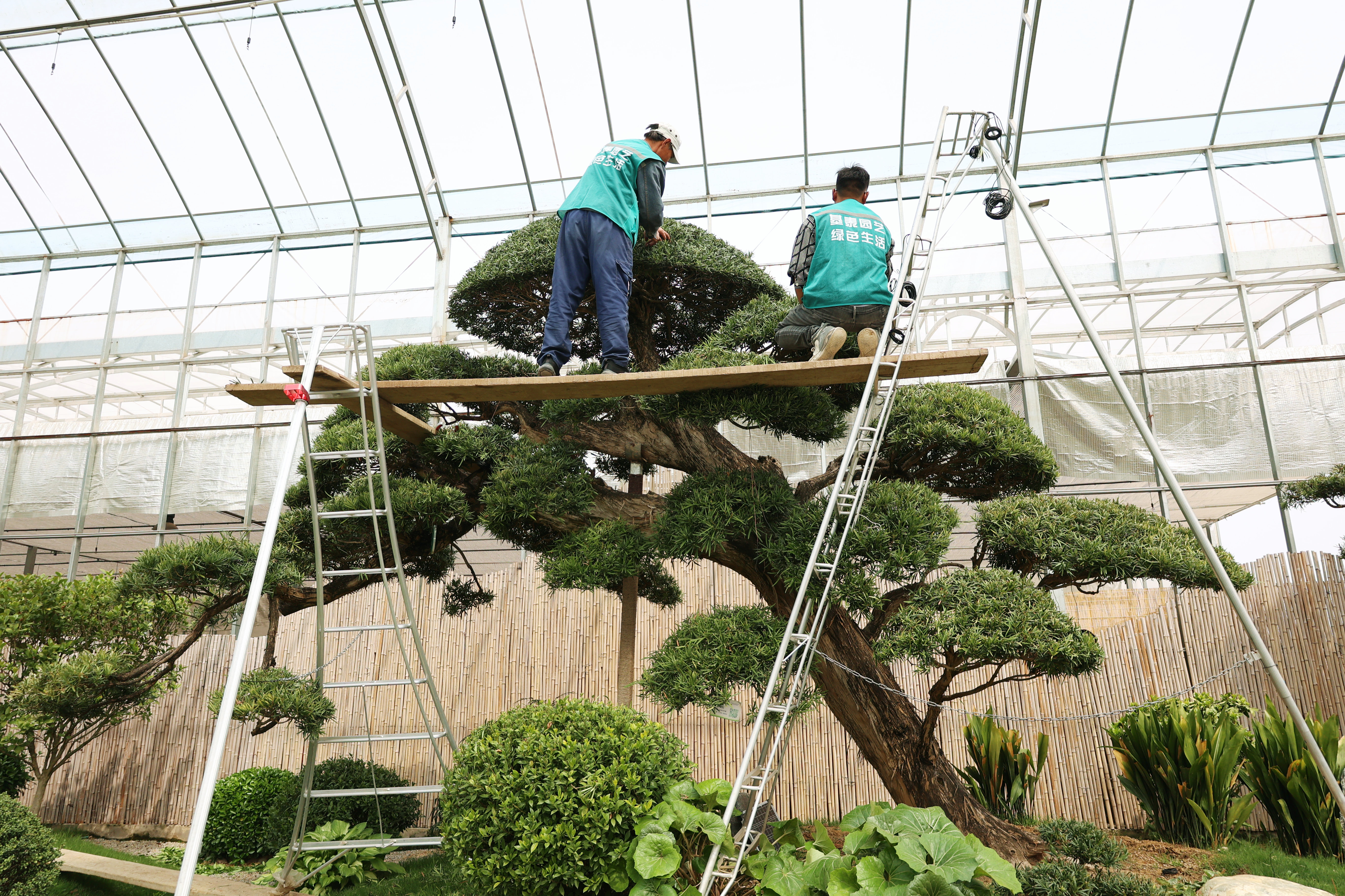 不負(fù)春光 奮力書寫“春天的故事”